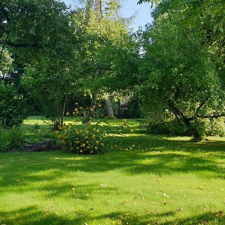 Majiga Istaba Ar Balkonu Un Vannasistaba, Bezmaksas Velo Noma Иецава Экстерьер фото